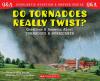 Scholastic Q & A: Do Tornadoes Really Twist?