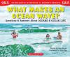 Scholastic Q & A: What Makes An Ocean Wave?
